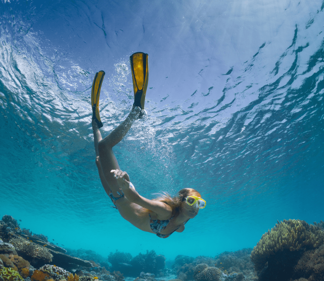 snorkling